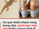 Có quá nhiều thạch sùng trong nhà, mách bạn mẹo nhỏ khiến chúng ‘một đi không trở lại’