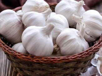 5 loại tỏi không nên mua – đến cả người bán cũng không dám ăn!