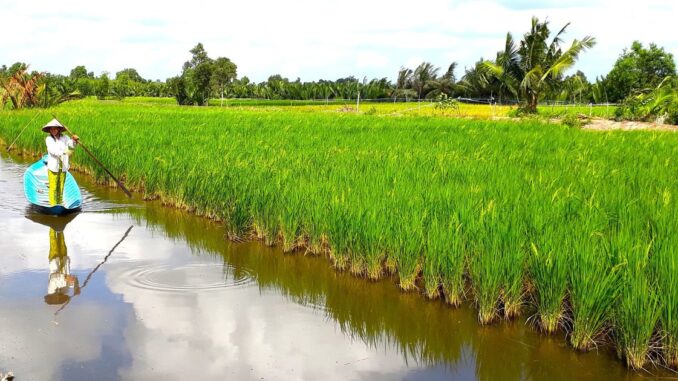 Cà Mau: Cấp huyện kỷ luật sai quy trình, chủ tịch tỉnh yêu cầu hủy bỏ Cà Mau: Cấp huyện kỷ luật sai quy trình, chủ tịch tỉnh yêu cầu hủy bỏ