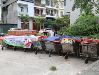 Thực sự nhiều người đã “lòi đuôi chuột” ở Quảng Ninh