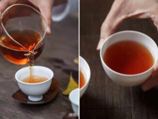Đừng đổ nước trà để qua đêm, chúng có 5 công dụng ai cũng thích