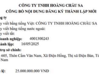 Vụ doanh nghiệp 1 tháng tuổi trúng đấu giá mỏ cát gần 500 tỷ đồng: Cơ quan chức năng nói gì?