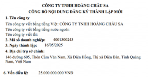 Vụ doanh nghiệp 1 tháng tuổi trúng đấu giá mỏ cát gần 500 tỷ đồng: Cơ quan chức năng nói gì? Vụ doanh nghiệp 1 tháng tuổi trúng đấu giá mỏ cát gần 500 tỷ đồng: Cơ quan chức năng nói gì?