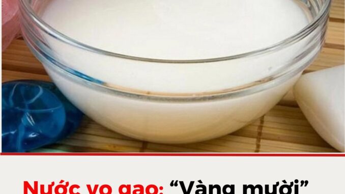 Nước vo gạo: “Vàng mười” trong nhà mà hầu như tất cả chúng ta đều lãng quên Nước vo gạo: “Vàng mười” trong nhà mà hầu như tất cả chúng ta đều lãng quên
