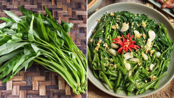 Mùa hè ăn rau muống vừa mát vừa bổ nhưng có 5 nhóm người không nên động đũa Mùa hè ăn rau muống vừa mát vừa bổ nhưng có 5 nhóm người không nên động đũa