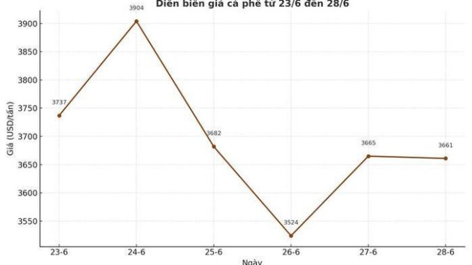 Giá cà phê hôm nay 30-6: Lượng tiêu thụ lên kỷ lục, giá có tăng lại? Giá cà phê hôm nay 30-6: Lượng tiêu thụ lên kỷ lục, giá có tăng lại?