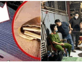 hé lộ danh tính người gây ra vụ án c.hấn đ.ộng bồn nước ở Đồng Nai Rợn tóc gáy khi phát hiện