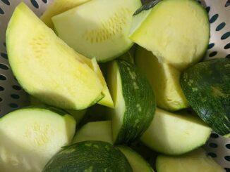 4 công dụng thần thánh của bí đỏ non và các món ngon từ bí đỏ