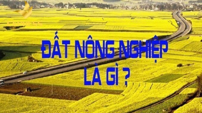 Từ hôm nay: Muốn xây nhà cấp 4 trên đất nông nghiệp chỉ cần đáp ứng một thủ tục sau ai không biết quá phí Từ hôm nay: Muốn xây nhà cấp 4 trên đất nông nghiệp chỉ cần đáp ứng một thủ tục sau ai không biết quá phí