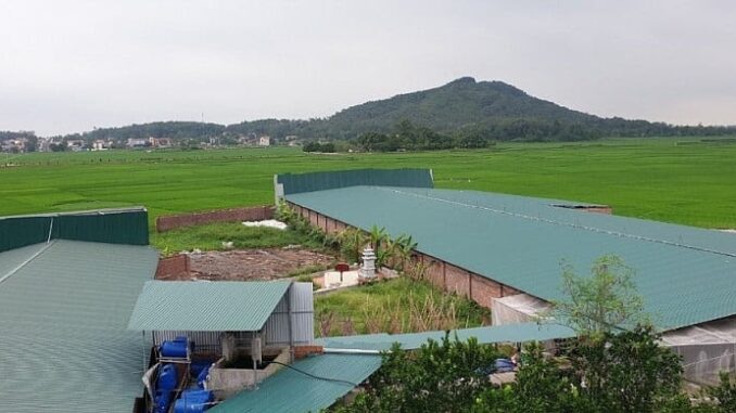 Cách xây trang trại trên đất nông nghiệp đúng luật bạn nên biết Cách xây trang trại trên đất nông nghiệp đúng luật bạn nên biết