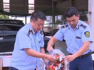 Tiêu hủy gần 2.000 gói bim bim giả mạo nhãn hiệu “Tăm cay Bà Tuyết”