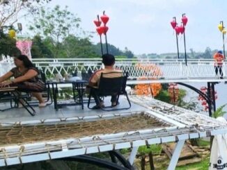 Đề xuất cưỡng chế quán cà phê trên đất nông nghiệp của nguyên cán bộ toà án