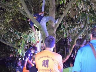 Tối vẫn không thấy con trai trở về, mẹ đi tìm thì ngất xỉu khi thấy con đang nằm bất động trên cây