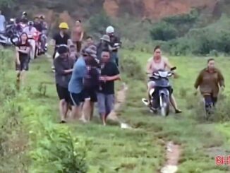 Trong lúc đi chăn bò ngoài đồng