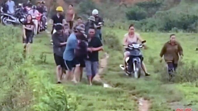 Trong lúc đi chăn bò ngoài đồng Trong lúc đi chăn bò ngoài đồng