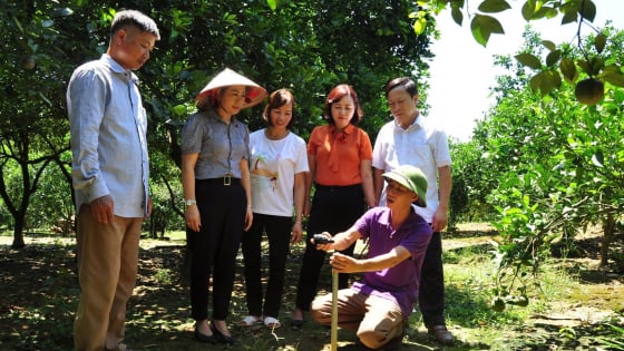Tưới thông minh cho cây ăn quả: Một nghị quyết thay đổi 765 ha Tưới thông minh cho cây ăn quả: Một nghị quyết thay đổi 765 ha