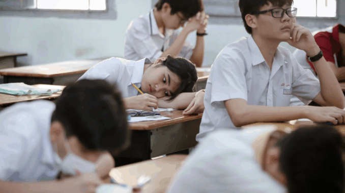 "Mùa" khoe con thi đậu: niềm vui hay áp lực vô hình? "Mùa" khoe con thi đậu: niềm vui hay áp lực vô hình?