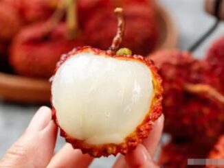 ‘Kẻ thù truyền kiếp’ của vải thiều, bác sĩ nhắc nhở: Hai thứ này không được ăn cùng nhau, cần ghi nhớ những điều kiêng kỵ khi ăn vải