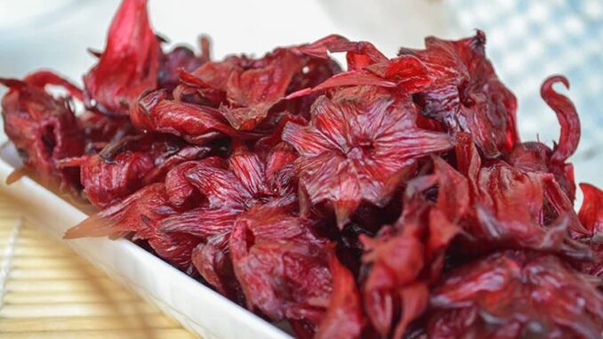 Loại hoa rất tốt cho gan và thận, quét sạch mỡ máu, ở chợ Việt bán rẻ như cho nhưng nhiều người chưa biết ăn, thật lãng phí! Loại hoa rất tốt cho gan và thận, quét sạch mỡ máu, ở chợ Việt bán rẻ như cho nhưng nhiều người chưa biết ăn, thật lãng phí!