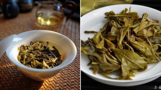 Bỏ bã trà là lãng phí, giữ lại giúp giải quyết 7 vấn đề quan trọng, cả nam và nữ đều cần Bỏ bã trà là lãng phí, giữ lại giúp giải quyết 7 vấn đề quan trọng, cả nam và nữ đều cần