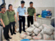 Tịch thu gần 2.000kg thức ăn cho mèo mang nhãn hiệu này: Nghe nói các chị em mua đắt lắm, đến mèo cũng không tha
