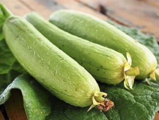 MƯỚP CÓ TÁC DỤNG GÌ VÀ THÀNH PHẦN DINH DƯỠNG TRONG MƯỚP