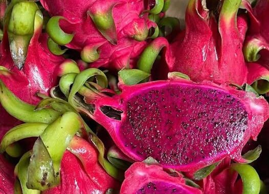 Lợi ích sức khỏe của quả thanh long Lợi ích sức khỏe của quả thanh long