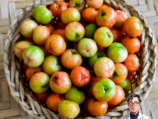 Loại quả có lượng vitamin C cao gấp 100 lần cam chanh giúp chị em đẹp da, giữ dáng lại phòng nhiều bệnh tật
