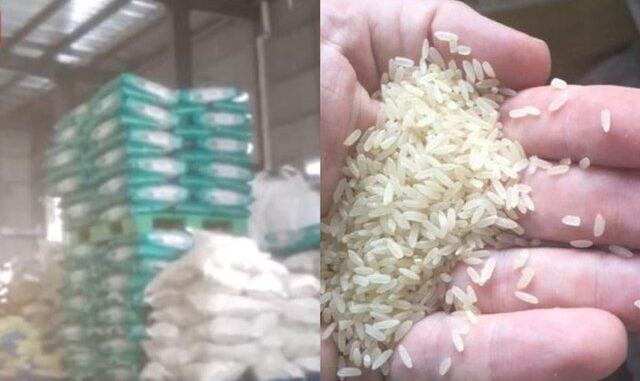Đ;ột nhập trong đêm, công an t;riệt p;;há công ty sản xuất gạo giả bán 1.000 tấn mỗi năm, tịch thu 15.750kg gạo chất thành đống Đ;ột nhập trong đêm, công an t;riệt p;;há công ty sản xuất gạo giả bán 1.000 tấn mỗi năm, tịch thu 15.750kg gạo chất thành đống