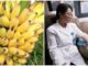 Đừng nghĩ chỉ thịt bò bổ máu 11 loại quả giàu sắt, tái tạo máu hơn cả thuốc bổ