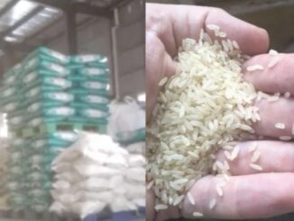 Trung Quốc: Đột kích nhà máy trong đêm, phanh phui công ty sản xuất gạo giả bán 1.000 tấn mỗi năm, tịch thu 15.750kg gạo chất thành đống