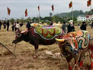Dự báo dân gian cho năm Ất Tỵ 2025: "7 rồng trị thủy, 4 trâu cày ruộng, 9 người chia bánh" mang ý nghĩa gì?