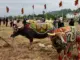 Dự báo dân gian cho năm Ất Tỵ 2025: "7 rồng trị thủy, 4 trâu cày ruộng, 9 người chia bánh" mang ý nghĩa gì?