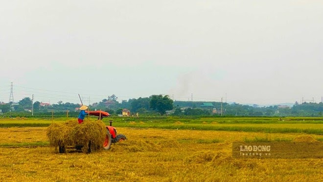 Chuyển đất nông nghiệp lên đất ở dễ Chuyển đất nông nghiệp lên đất ở dễ