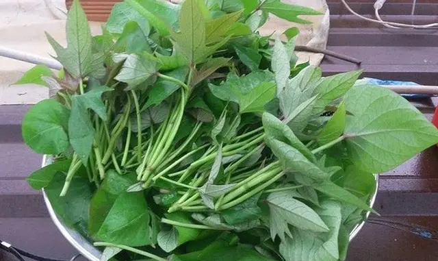 Ba không khi ăn rau lang Ba không khi ăn rau lang