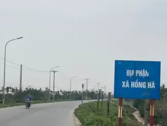 Hà Nội: Giao đất để xây trường học, cụm công nghiệp