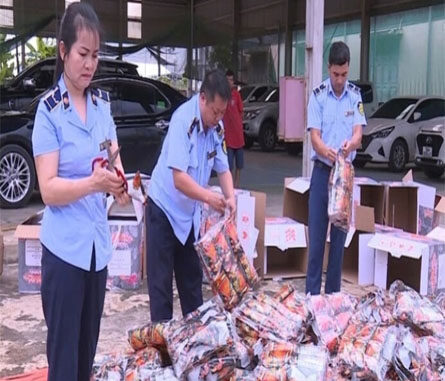 Tiêu hủy gần 2.000 gói bim bim giả mạo nhãn hiệu “Tăm cay Bà Tuyết”