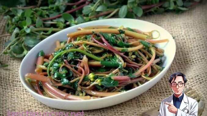 Bất ngờ trước những tác dụng của rau sam đối với sức khỏe Bất ngờ trước những tác dụng của rau sam đối với sức khỏe