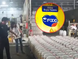 Kinh khủng: dầu dùng cho thức ăn chăn nuôi bơm sang bồn dầu sử dụng cho người