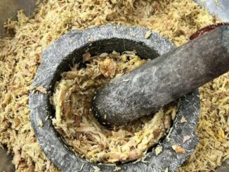 Xông mũi bằng sả hoặc gừng và những tác dụng tích cực cho người bệnh