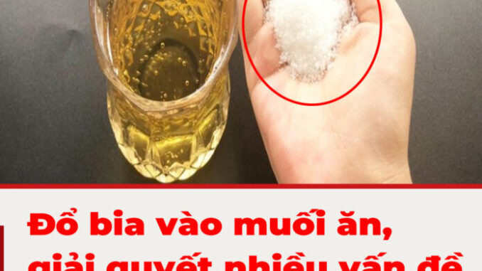 Đổ bia vào muối ăn, giải quyết nhiều vấn đề trong nhà, thật tiếc giờ tôi mới biết mẹo này Đổ bia vào muối ăn, giải quyết nhiều vấn đề trong nhà, thật tiếc giờ tôi mới biết mẹo này