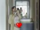 Ở nhà nội trợ, sinh con vẫn có tiền nếu chồng làm 1 việc: Toàn bộ thay đổi trong chính sách thai sản từ 1/7
