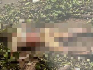 Tìm thân nhân người đàn ông t/ử v/ong trên sông Sài Gòn