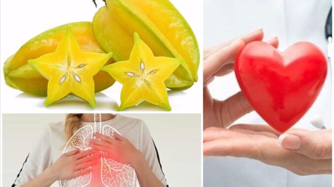 Bạn đã biết những lợi ích này của quả khế ! Bạn đã biết những lợi ích này của quả khế !