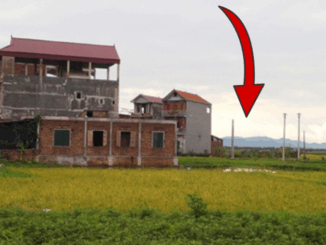 Cách chuyển đất 50 năm sang đất thổ cư để xây nhà ở