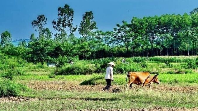 Giá đền bù khi thu hồi đất nông nghiệp sắp tăng rất cao Giá đền bù khi thu hồi đất nông nghiệp sắp tăng rất cao