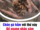 Tác dụng của chân gà hầm đậu đen tốt ngang nhân sâm