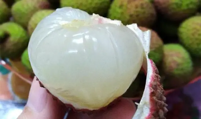 Một phụ nữ phải đi cấp cứu vì ăn hơn 100 quả vải: Có thể ăn tối đa bao nhiêu quả vải một ngày? Một phụ nữ phải đi cấp cứu vì ăn hơn 100 quả vải: Có thể ăn tối đa bao nhiêu quả vải một ngày?