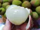 Một phụ nữ phải đi cấp cứu vì ăn hơn 100 quả vải: Có thể ăn tối đa bao nhiêu quả vải một ngày?
