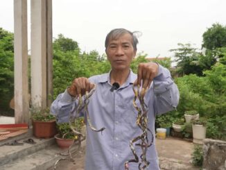D;ị nhân Nam Định chính thức lên tiếng về thông tin bán bộ móng tay dài 1m với giá 10 tỷ đồng
